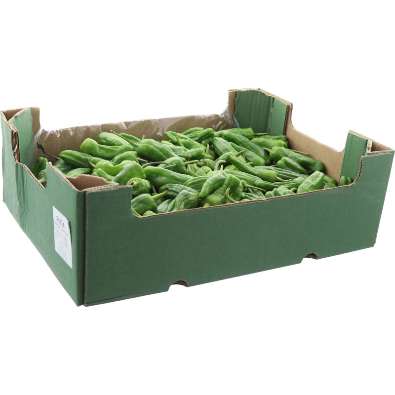 POIVRON PADRON 2KG